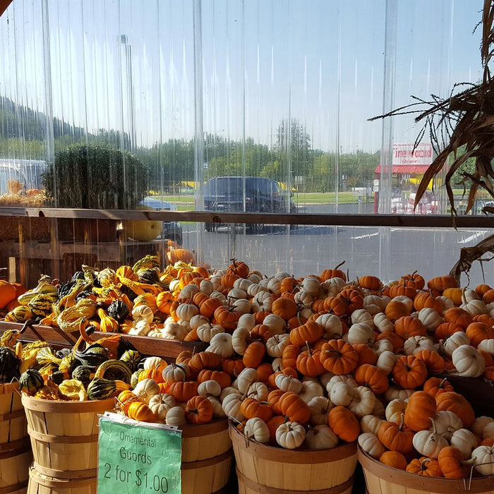 Mohican Country Market: Your Gateway to Amish Country in Loudonville